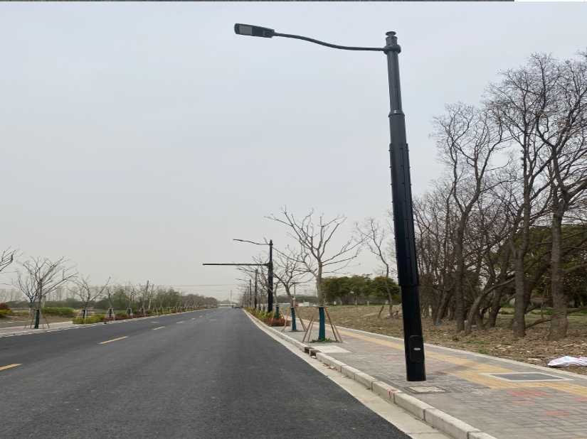 庐阳区上海综合杆 太阳能路灯工程